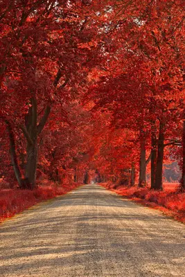 Wye Island Ruby Road - HDR (19603671802)