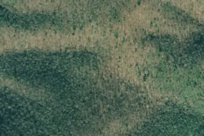 Camp site