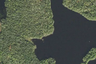 Camp site