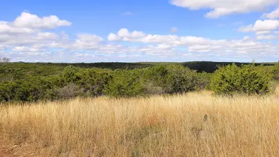 Lost Maples West Trail View 2022