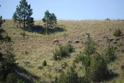 White Earth Campground and group use shelter