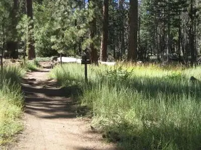 Scenic View of Deer Group Camp