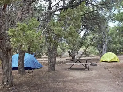 A picnic table between two tents, one blue and one yellow, under the shade of pinyon pines