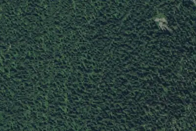 Fs Trail 6 (Harrison Lake Access)