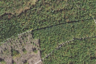 042 Pine Swamp Road