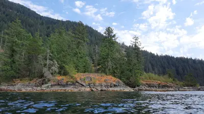 Indian Arm Boat