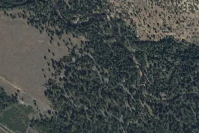 Site 9