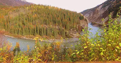 McKinley Park, AK, USA - panoramio - Roger Sylvia