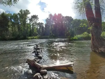 Conejos River from Mogote Campground
