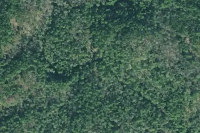 Camp site