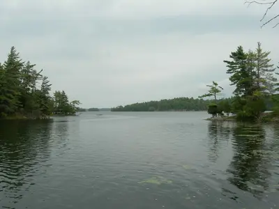 Charleston Lake Provincial Park Site 509
