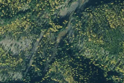 Pnt04 Tr9 Site B
