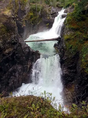 Little Qualicum Falls Provincial Park, near Qualicum Beach, BC