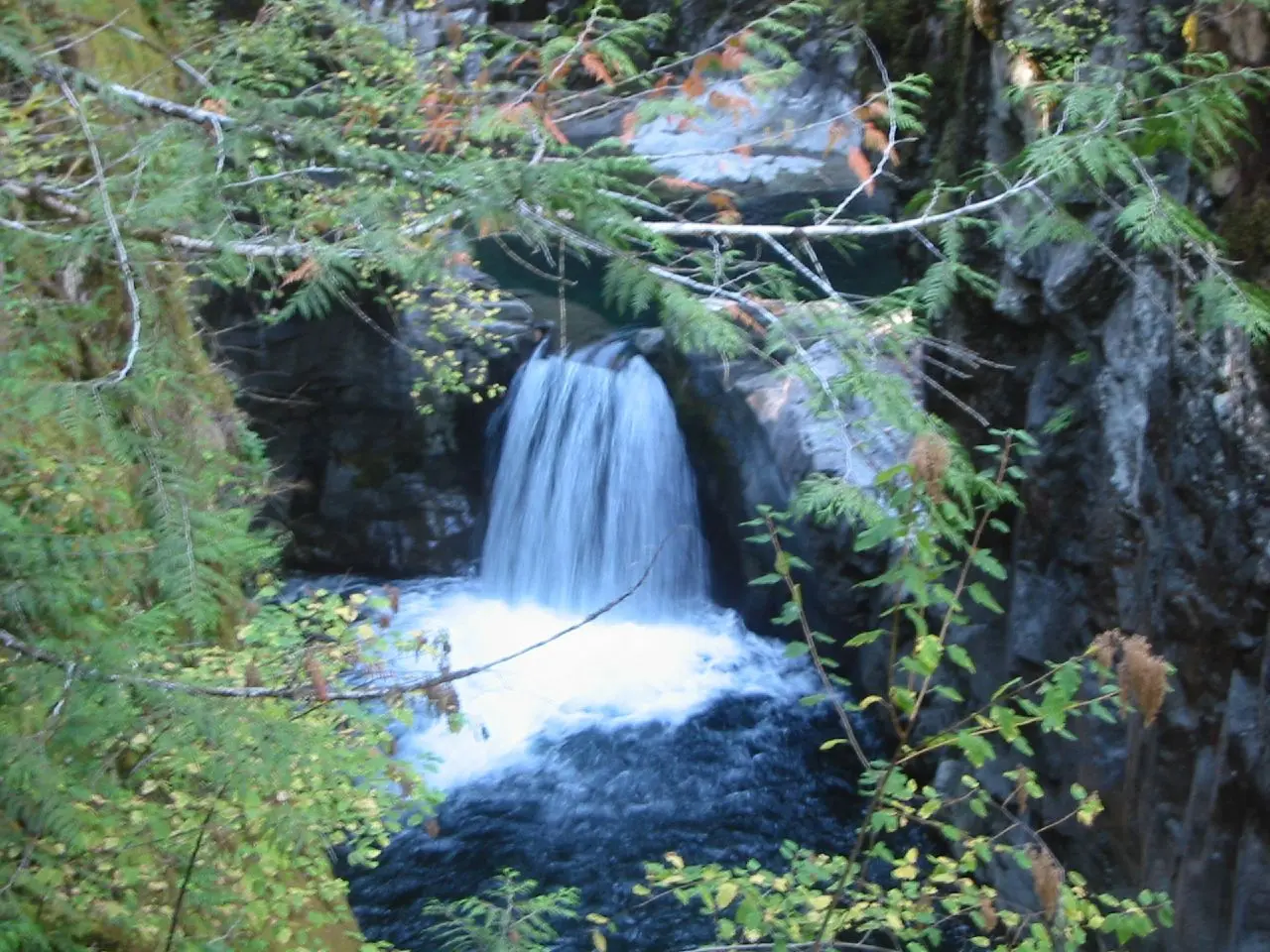 Photo of Little Qualicum Falls Park