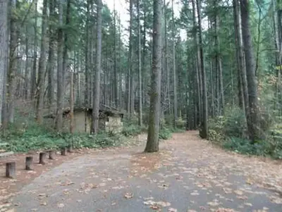 Bogus Creek Campground