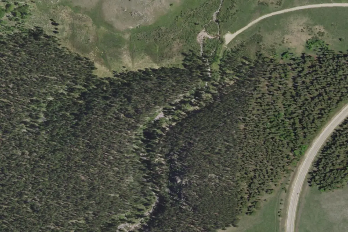 Aerial view