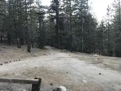 Mt. Pinos Campground