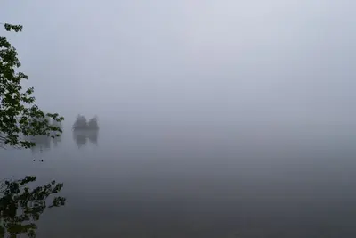 Fog over the lake