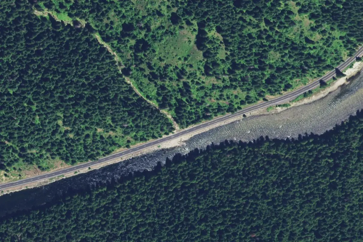 Aerial view