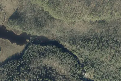 Camp site