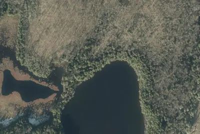 Camp site