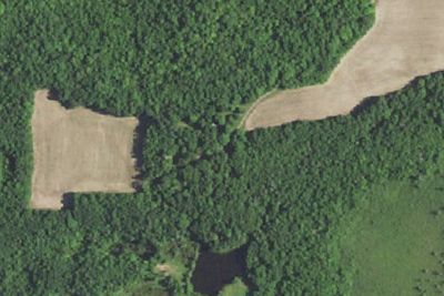 Site #1