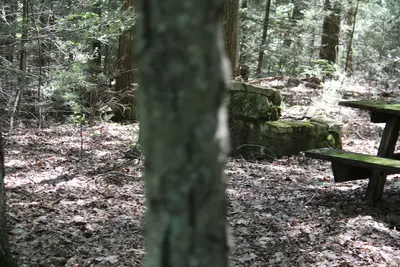 Trough Creek State Park - panoramio (139)