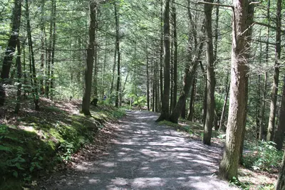 Trough Creek State Park - panoramio (5)