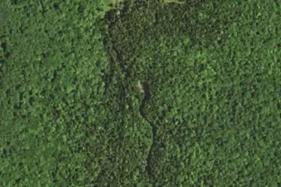 Camp site