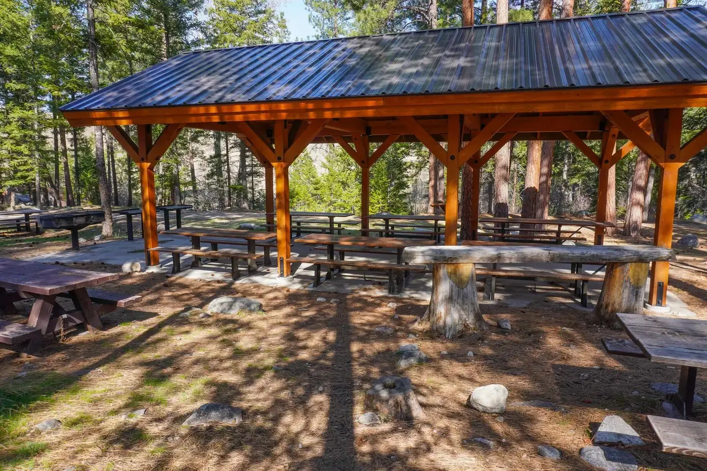 group use shelter surrounded by trees