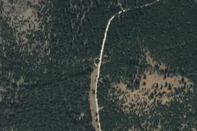 Logged Area