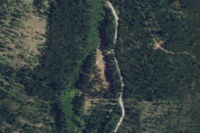Camp site (Colville Nataional Forest)