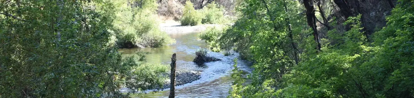 Clear Creek at Peltier Bridge Campground