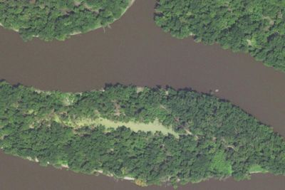 Cottonwood Island