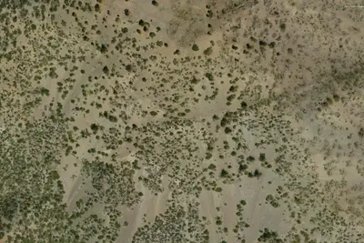 Camp Hachey 1
