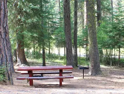 Campsite with picnic table, pedestal grill and fire ring.