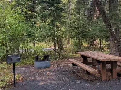 Campsite in forested setting with pedestal grill, fire pit and picnic table.