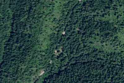 Rd 437 Site 17c