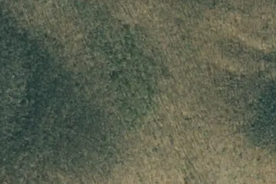 Camp site