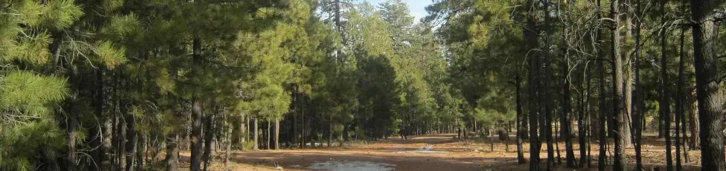 view of entrance to Black Canyon Rim Campground