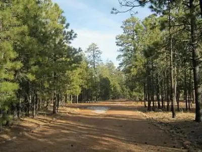 Black canyon rim campground