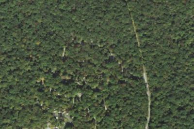 French Creek State Park Campground Loop D