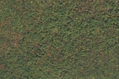 Camp site