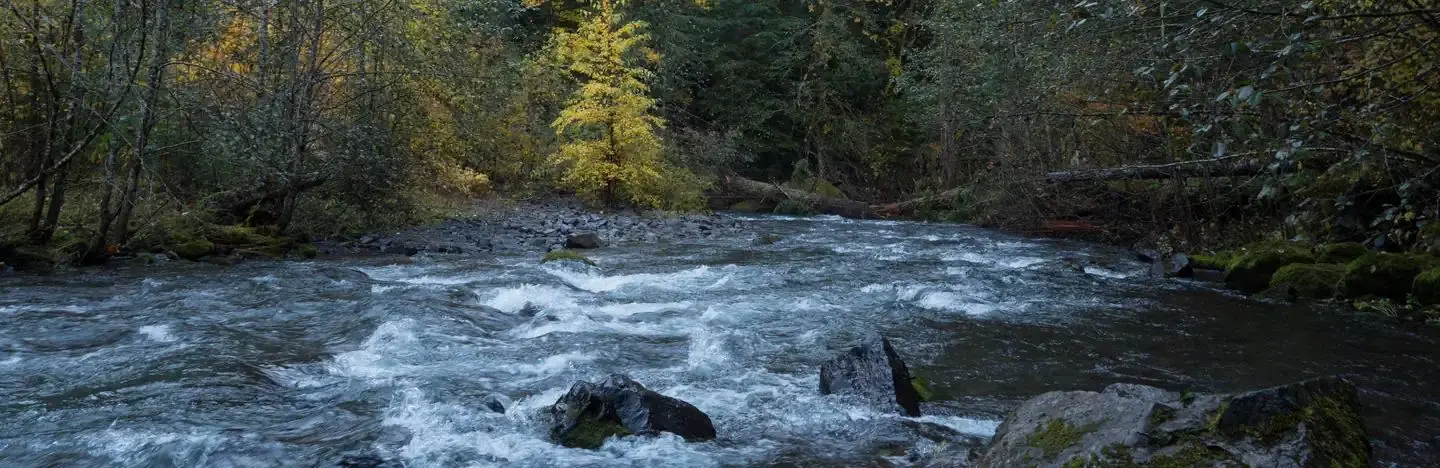 Panther Creek
