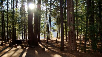 Hayward Flat Campground