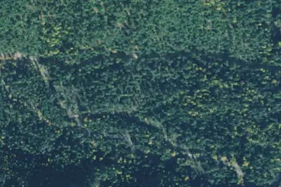 Rd 215 Site 3a