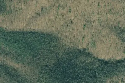 Camp site