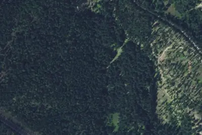 Miller Creek Road 464