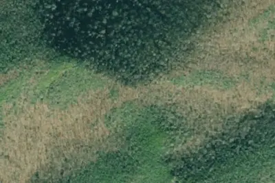 Camp site