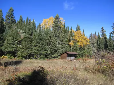 Belle Island Campground Shelter #1